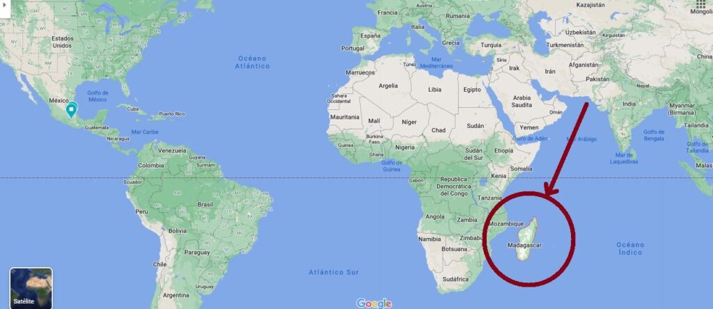 Mapa de la isla de Madagascar donde es endémico el Pachypodium Lamerei